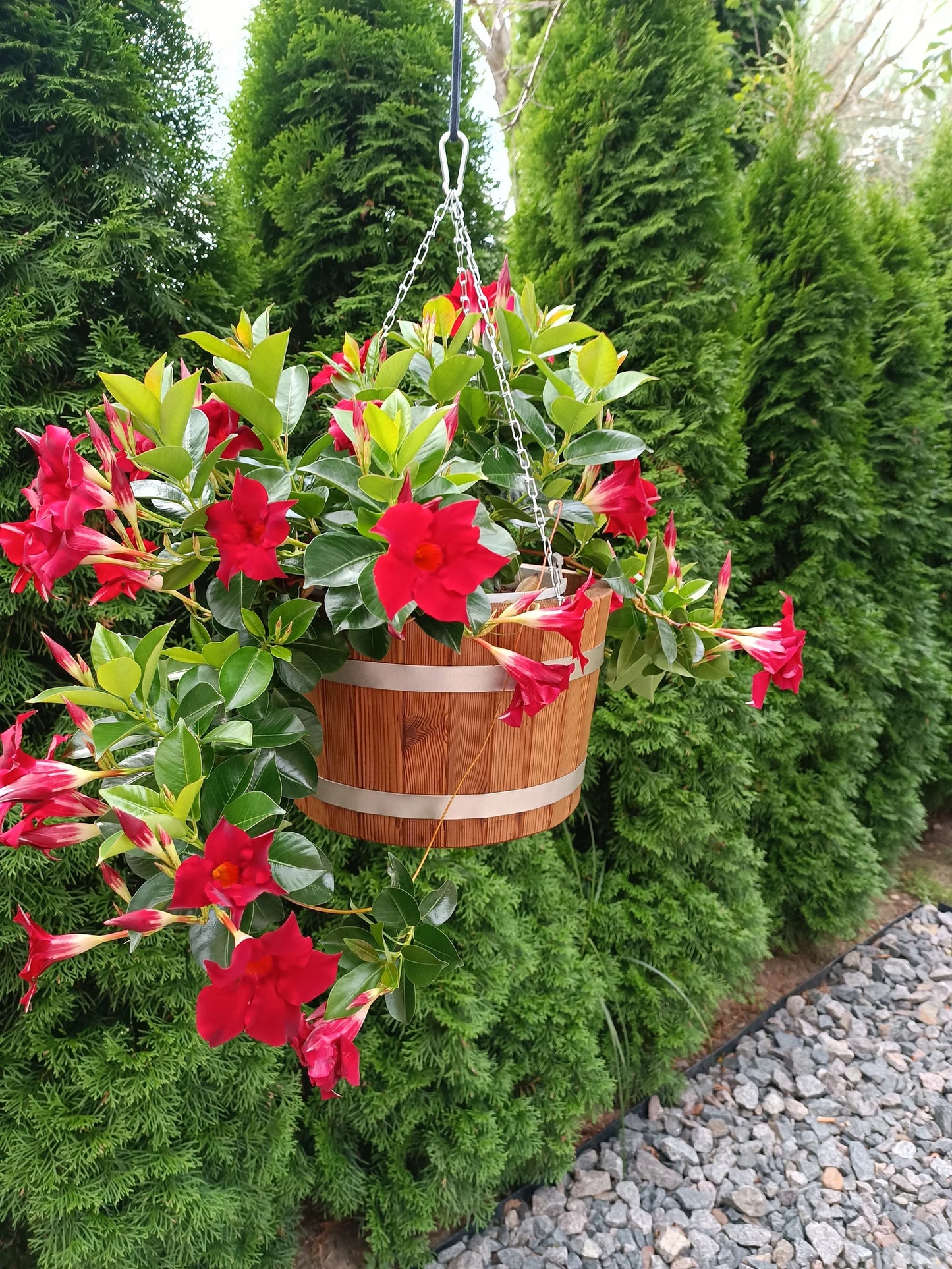 Hanging flower pot / hanging flower planter