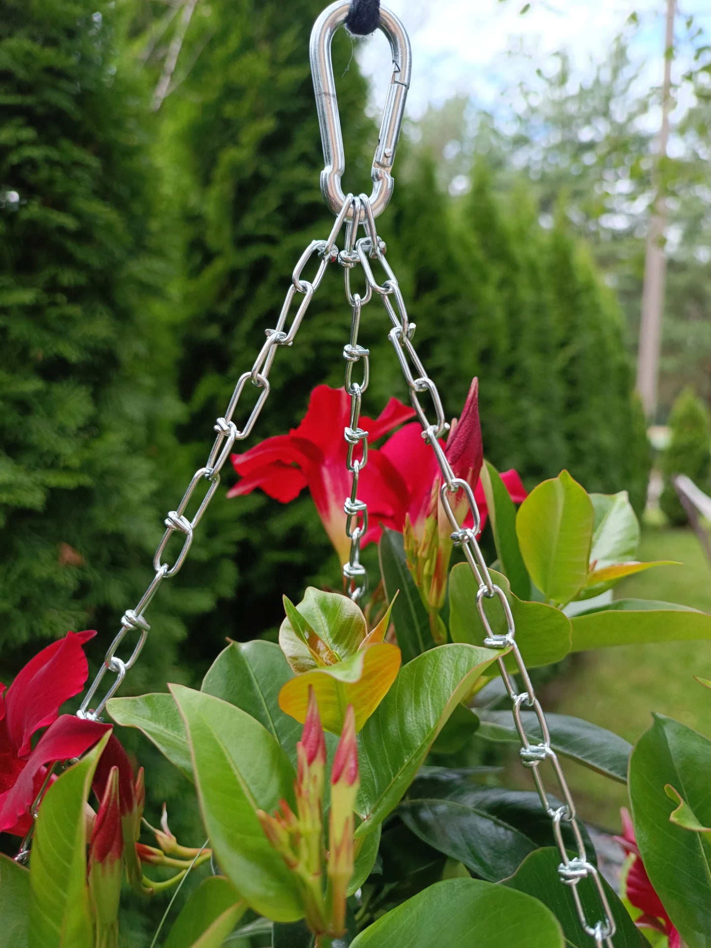 Hanging flower pot / hanging flower planter