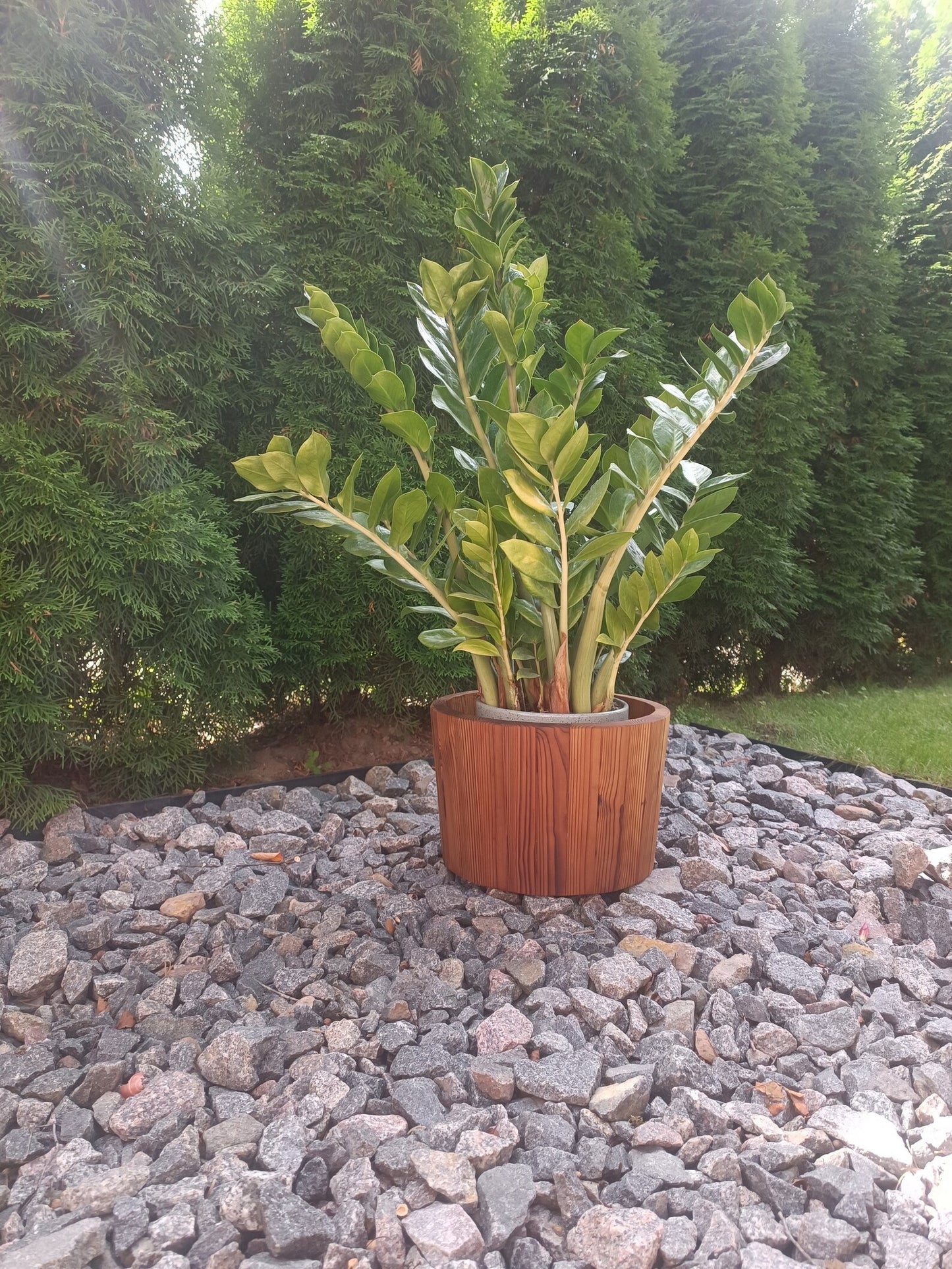 Thermowood flower small pot / Flower planter/  indoor, outdoor.