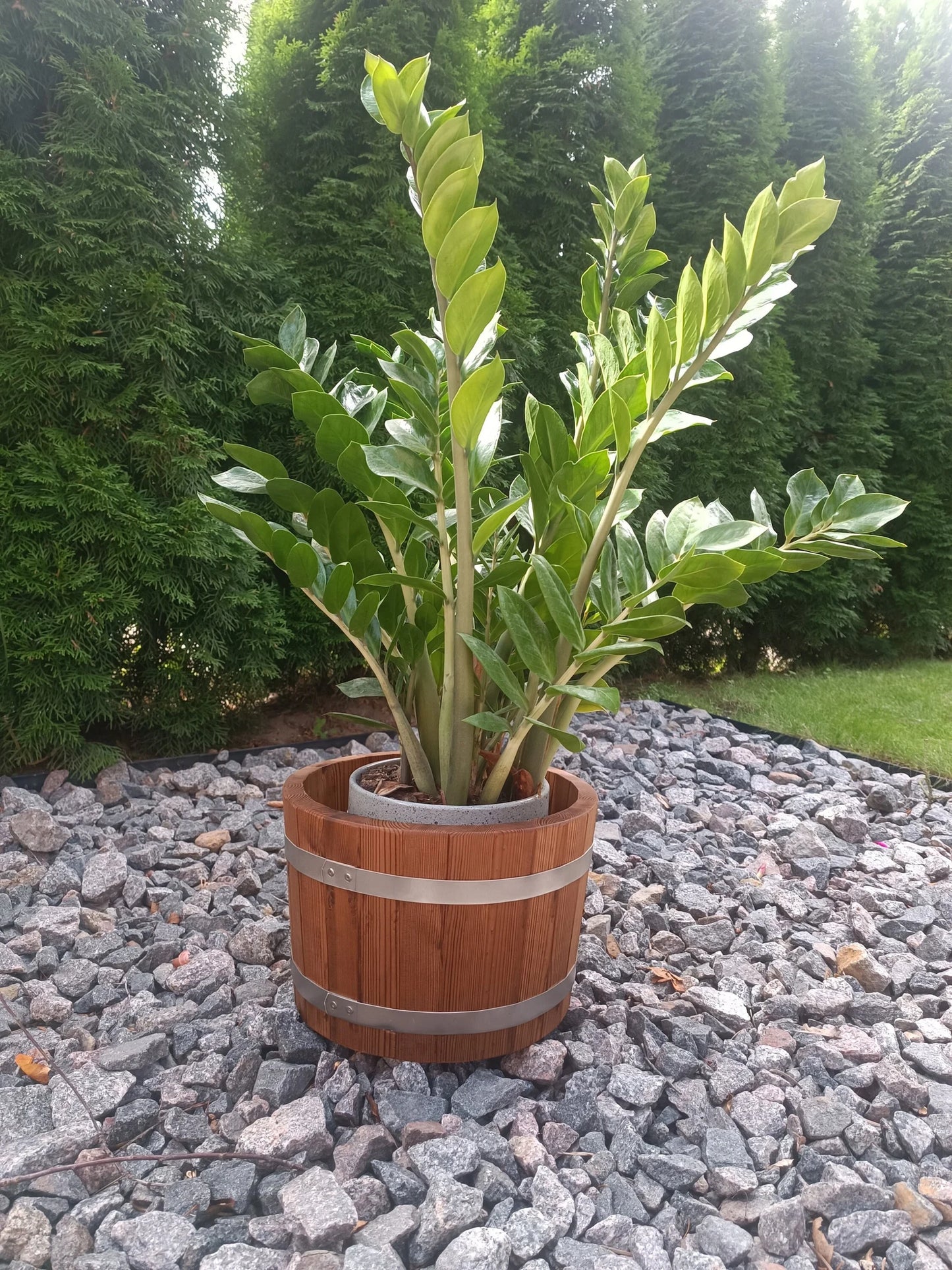 Wooden flower  pot / Flower planter /  indoor, outdoor.