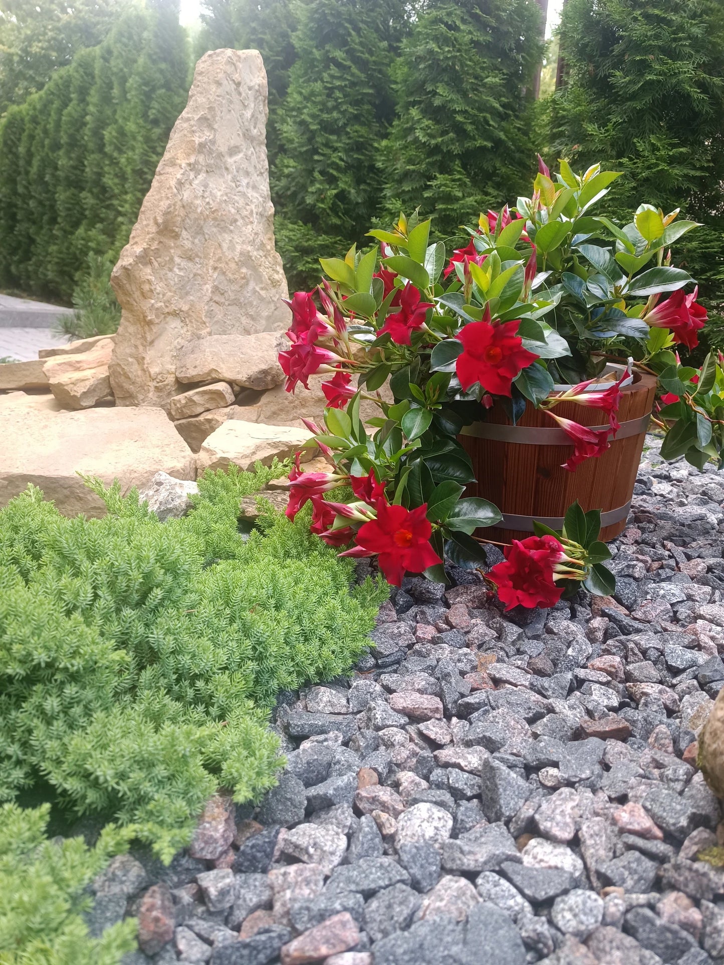 Wooden flower  pot / Flower planter /  indoor, outdoor.