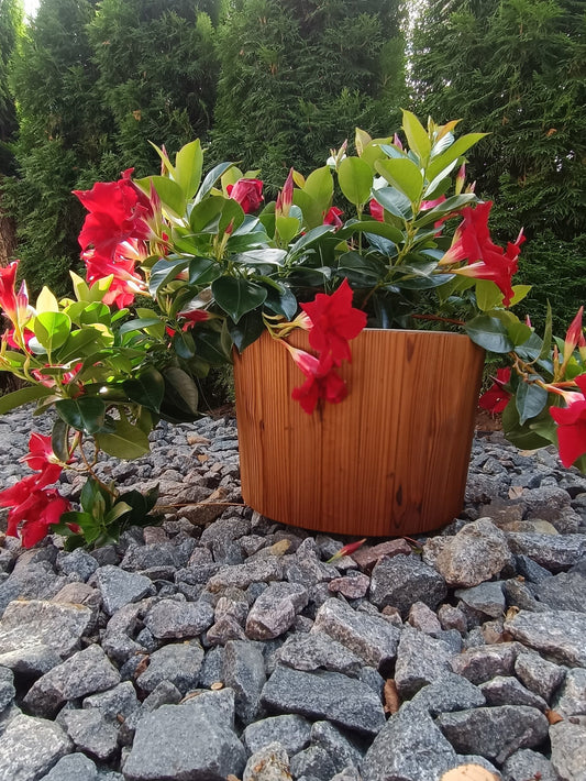Thermowood flower small pot / Flower planter/  indoor, outdoor.